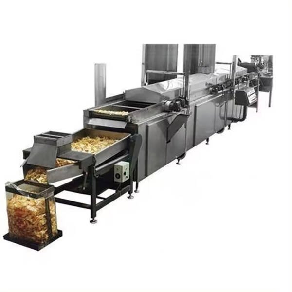 Continuous Fryer Machine