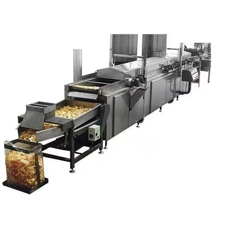 Continuous Fryer Machine
